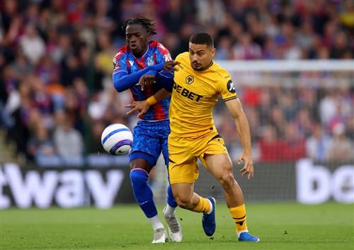 Crystal Palace x Lobos